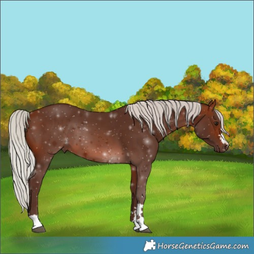 Horse Color:Silver Brown 