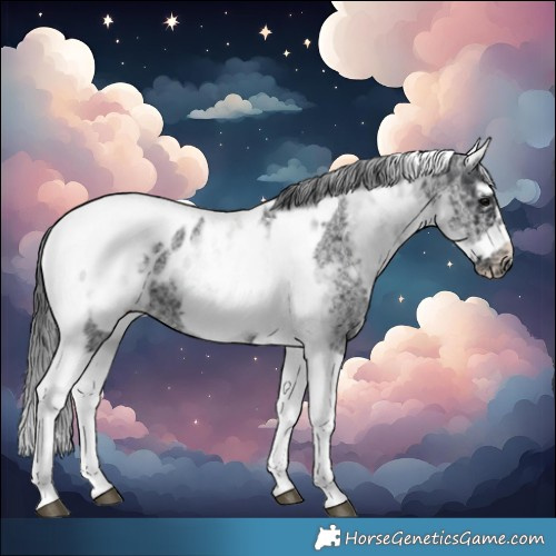 Horse Color:White Spotted Black Splash Tobiano Frame Blanket