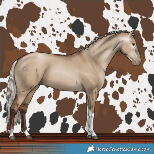 Horse Color:Gray Silver Grullo Pearl Tobiano