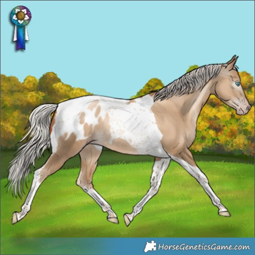 Horse Color:Gray Silver Sable Cream Champagne Snowdrop Tobiano Blanket Rabicano