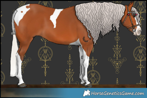 Horse Color:Silver Bay Splash Tobiano 