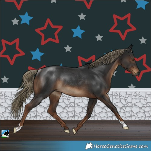 Horse Color:Gray Liver Chestnut Mushroom Rabicano 