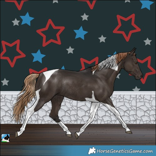 Horse Color:Liver Chestnut Tobiano Rabicano
