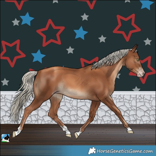 Horse Color:Gray Gold Champagne Mushroom Sabino Rabicano 