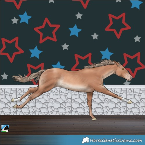 Horse Color:Gold Champagne Rabicano 