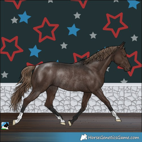 Horse Color:Liver Chestnut Rabicano 
