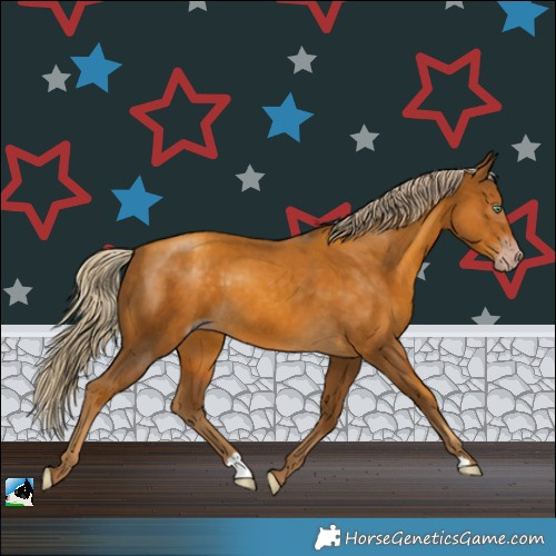Horse Color:Gray Gold Cream Champagne Mushroom 