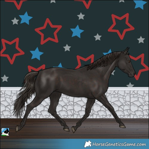 Horse Color:Liver Chestnut Rabicano