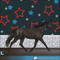 Horse Color:Liver Chestnut Rabicano