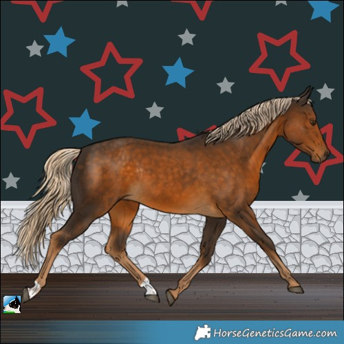 Horse Color:Chocolate Palomino Rabicano 