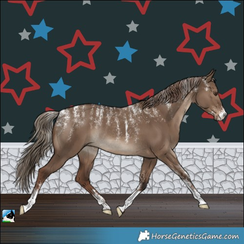 Horse Color:Powder White Liver Red Dun Rabicano 
