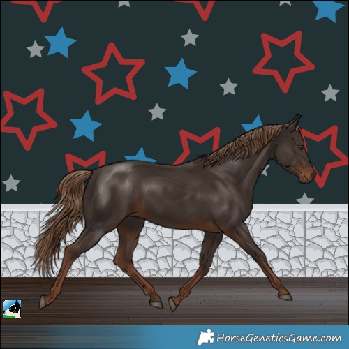 Horse Color:Liver Chestnut Rabicano