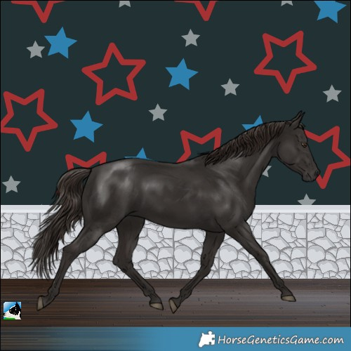 Horse Color:White Spotted Liver Chestnut Rabicano