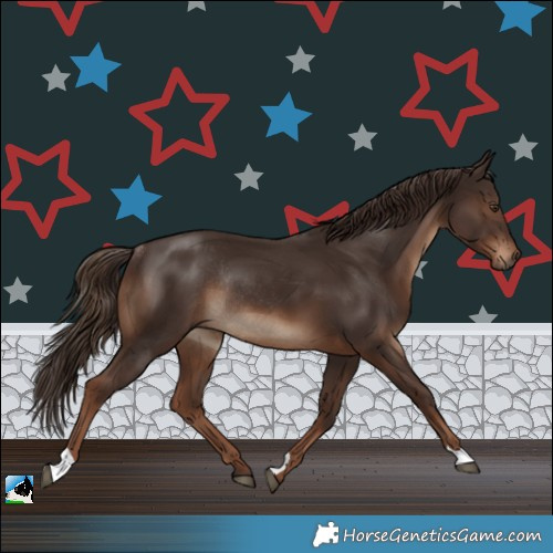 Horse Color:Liver Chestnut Rabicano 