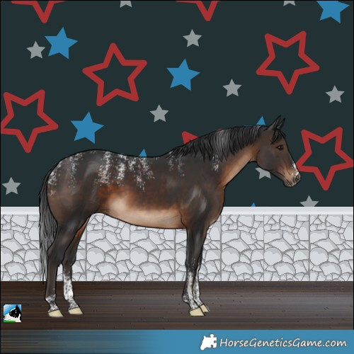 Horse Color:Powder White Brown