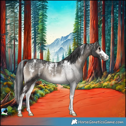 Horse Color:Powder White Blue Onyx Rabicano