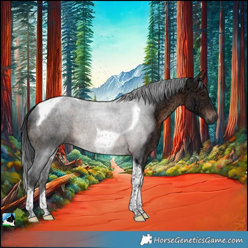 Horse Color:Brown Ice Tobiano 