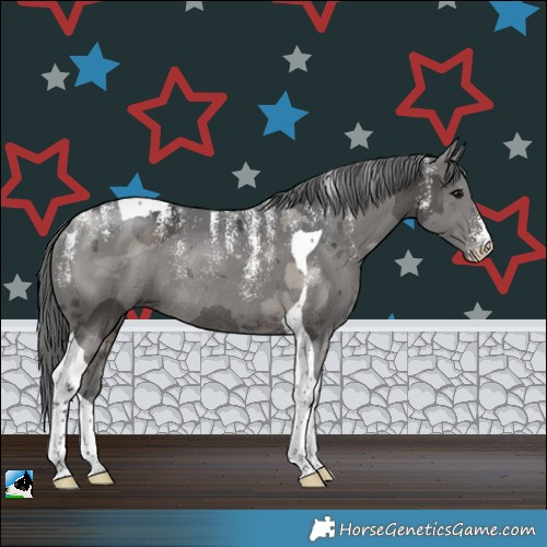 Horse Color:Powder White Black Merle Tobiano Rabicano 
