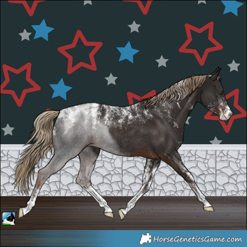 Horse Color:Powder White Liver Chestnut Rabicano 