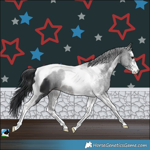 Horse Color:Brown Merle Sabino Tobiano