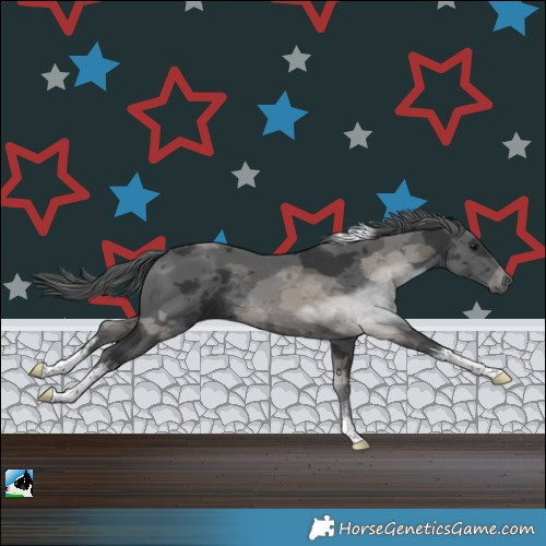 Horse Color:White Spotted Black Merle Tobiano Rabicano