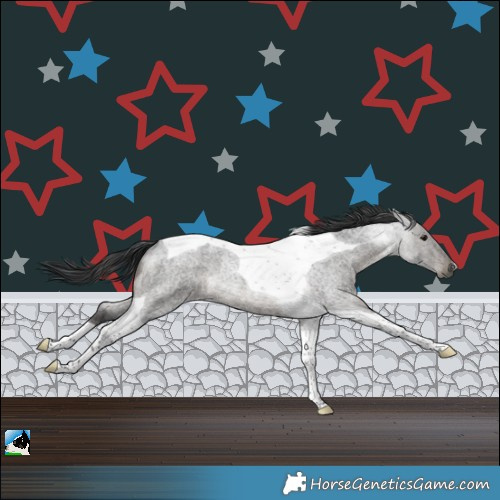 Horse Color:Blue Roan Mushroom Tobiano Rabicano