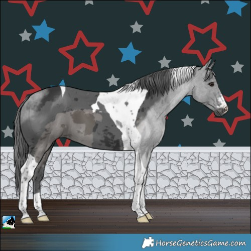 Horse Color:Black Merle Tobiano