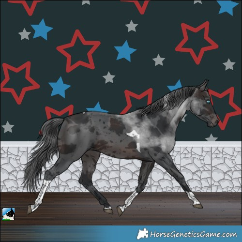 Horse Color:Brown Merle Tobiano