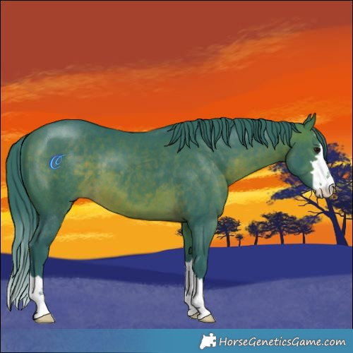 Horse Color:Watercolor Brown 