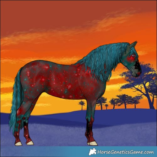 Horse Color:ERROR: UNKNOWN ANOMALY
