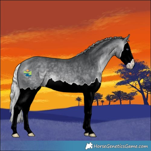 Horse Color:Silver Bay Chinchilla Splash 