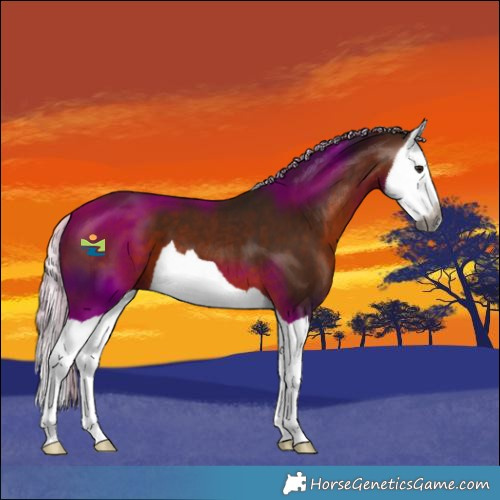 Horse Color:Gray Silver Bay Splash 