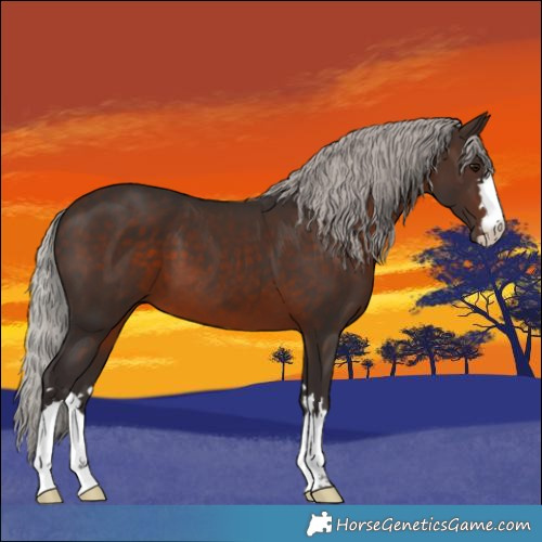 Horse Color:Silver Brown