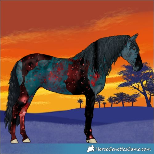 Horse Color:ERROR: UNKNOWN ANOMALY