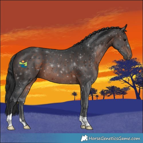 Horse Color:Brown 