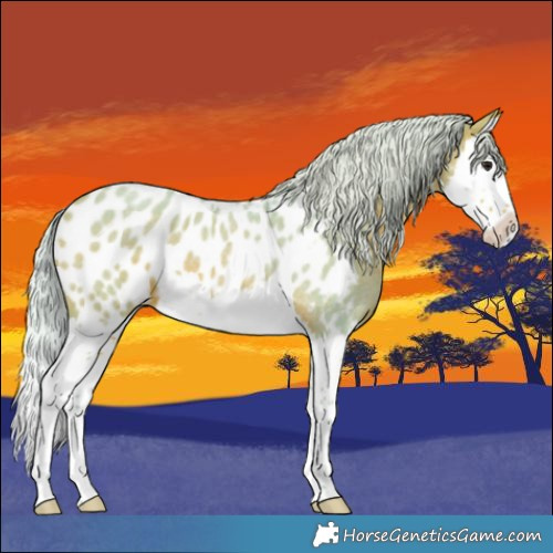 Horse Color:Watercolor Silver Bay Roan Splash Blanket