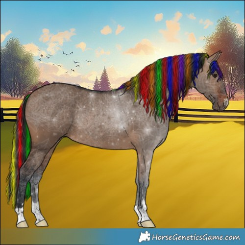 Horse Color:Painted Brown Dun Rabicano
