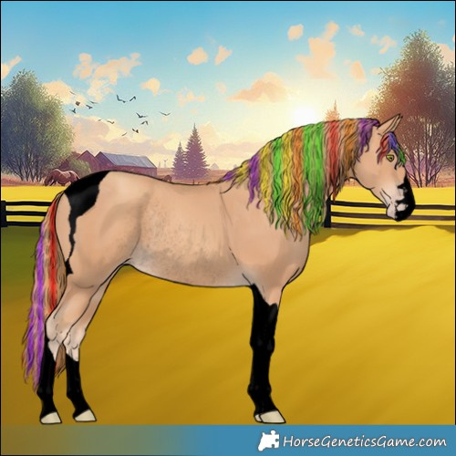 Horse Color:Void Painted Gold Champagne Tobiano Rabicano 