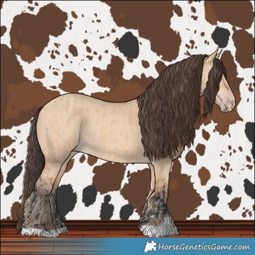 Horse Color:Bay Dun Rabicano and Amber Champagne Dun Rabicano