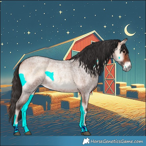 Horse Color:Bay Roan Onyx 