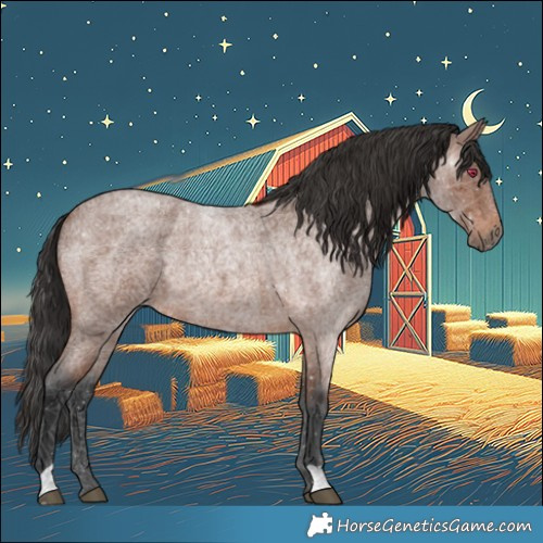 Horse Color:Brown Roan Rabicano