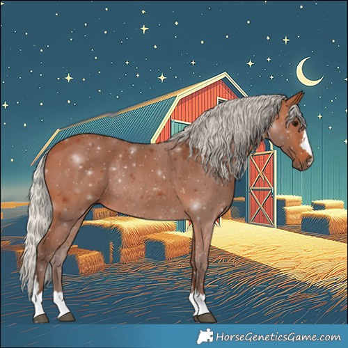 Horse Color:Silver Bay Rabicano