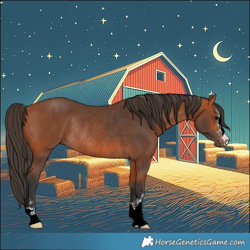 Horse Color:Bay Rabicano