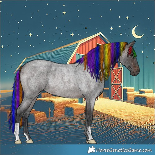 Horse Color:Painted Brown Roan Rabicano 