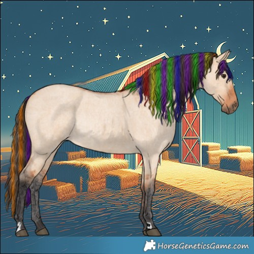 Horse Color:Painted Bay Roan Dun Rabicano