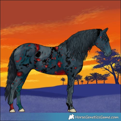 Horse Color:ERROR: UNKNOWN ANOMALY