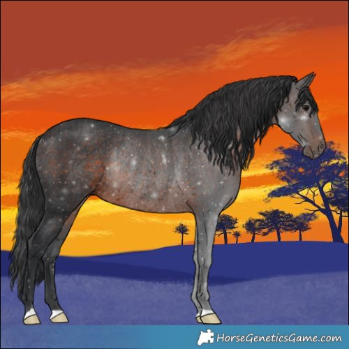 Horse Color:Brown Rabicano 