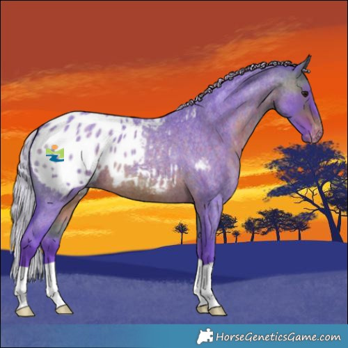Horse Color:Watercolor Chocolate Silver Brown Roan Blanket 