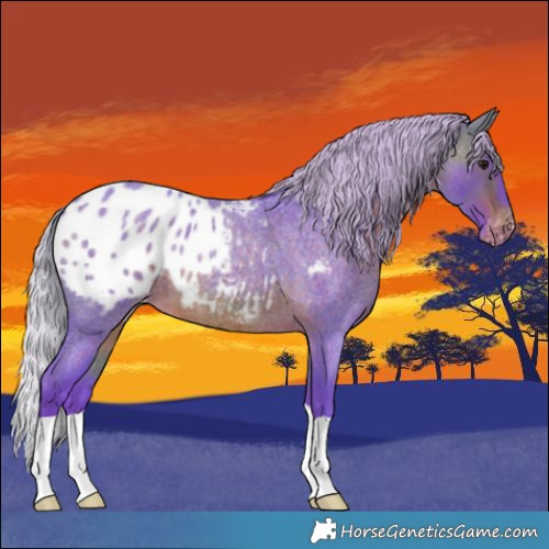 Horse Color:Watercolor Chocolate Silver Brown Roan Blanket 