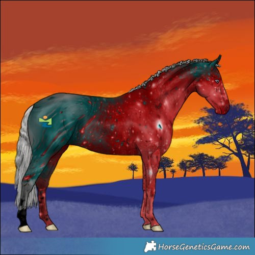 Horse Color:ERROR: UNKNOWN ANOMALY